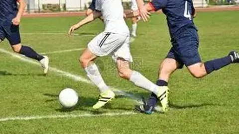 乐鱼体育 资讯 173408 wdl