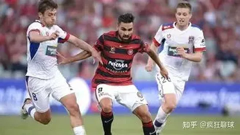 乐鱼体育 资讯 084444 cl6