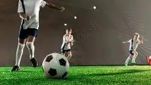 乐鱼体育 资讯 084447 l3d